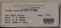 Image Associated With the Occurence